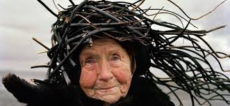 Elders. Nature. Folklore. Awesome.