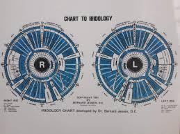 iridology resources light embody