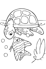 Select from 35428 printable crafts of cartoons, nature, animals, bible and many more. Sea Turtle Coloring Pages Coloring Rocks