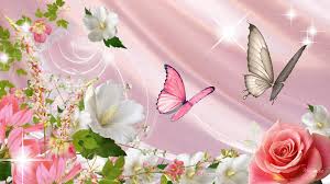 A glimpse of a beautiful butterfly or many beautiful butterflies in a garden filled with many colorful flowers is a sight to make you feel good. Spring Flowers And Butterflies Wallpapers Top Free Spring Flowers And Butterflies Backgrounds Wallpaperaccess