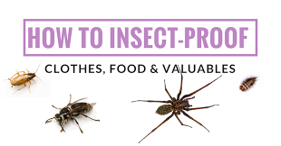 insect proof your clothes, food & valuables