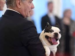 Vladimir putin, current president of russia, owns four dogs, who currently lives at his residence in moscow. Putin The Dog Lover Here Are Some Of The World S Most Powerful Pets The Economic Times