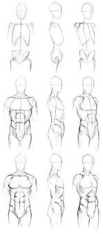 Everyone wants to draw better, but some times the complicated nature of anatomy study can be overwhelming. Step By Step Male Torso Reference Front Side And 3 4 View Body Sketches Anatomy Sketches Drawing People