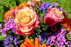 Über 7 millionen englischsprachige bücher. What S Your Birth Flower Birth Month Flowers Meanings The Old Farmer S Almanac