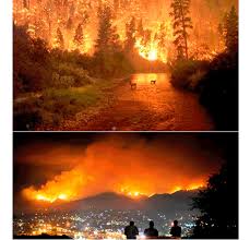قدرتی آفات کے حیرت انگیز مناظر Natural Disasters California Wildfires Nature