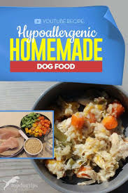 Hypoallergenic Homemade Dog Food Recipe Video Instructions Dog Dog Food Food Homemade Hyp In 2020 Healthy Dog Food Recipes Dog Food Recipes Raw Dog Food Recipes