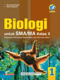 Menulis balasan surat yang ada di kegiatan sebelumnya. Buku Biologi Kelas 10 Kurikulum 2013 Pdf Intan Pariwara Siswapelajar Com