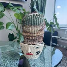 Image result for Pentas schumanniana