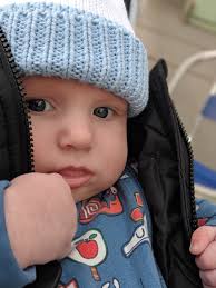 Photos: Vote now for Tasmania's best dressed boy