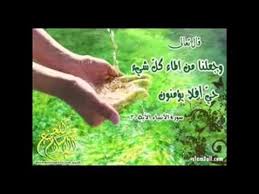ايات الإحياء من الامراض ايات لشفاء واحياء واصلاح الخلايا الميته والاعضاء المريضه بإذن الله العجمي Youtube
