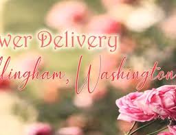 4607 cortez rd w, bradenton (fl), 34210, united states. The 7 Best Options For Flower Delivery In Bradenton Florida 2021