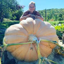 Image result for giant pumpkin