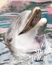 Check spelling or type a new query. My Spirit Animal Dolphin Lined Notebook Diary Track Log Journal Cute Gift For Kids Teens Men Women Who Love Dolphins 8 X10 120 Pages Totem Happy Life 9781074088460 Amazon Com Books