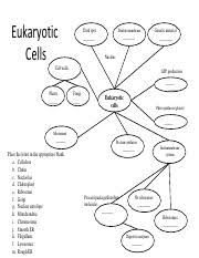 Plant cell diagram | animal cell diagram featured in this printable worksheet are the diagrams of the plant and animal cells with parts labeled vividly. Concept Map 2 Eukaryotic Cells Double Membrane Dark Spot Genetic Material Nucleus Cell Walls Atp Production Plants Fungi Eukaryotic Cells Course Hero