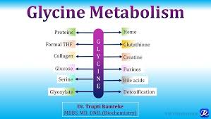 Image result for Glycine