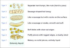 bristol stool form scale bsfs adapted from the original