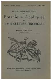 Image result for Clitandra cymulosa