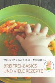 Pin Von Katrin Bick Auf Breifrei In 2020 Kochen Fur Baby Breifrei Rezepte Beikost