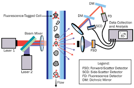 photodetectors in flow cytometers features dec 2018