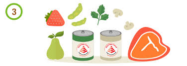 Childhood obesity is a health issue in singapore. My Healthy Plate