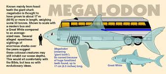 Maybe you would like to learn more about one of these? Sharks Denizens Of The Deep Creation Com