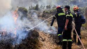 Οργή των χρηστών του twitter οι οποίοι ζητούν ευθύνες για την πυρκαγιά στο σχίνο. Fwties Sthn Korin8o Megalh Katastrofh Sthn Agria Panida Enhmerwsh Ar8ra Draseis Dogs Voice