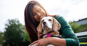 Check spelling or type a new query. The Challenges And Benefits Of Adopting A Senior Dog Bechewy