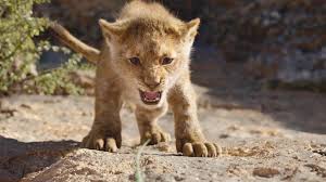 Regarder Le Roi Lion 2019 Streaming Vf En Regarderleroil1 Twitter Simba idolâtre son père, le roi mufasa, et prend à cœur son destin royal. le roi lion 2019 streaming vf