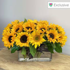 Teleflora's in love with lime bouquet $67.95 buy now >. Send Yellow Flowers Santa Monica Ca Flower Delivery Bloomnation