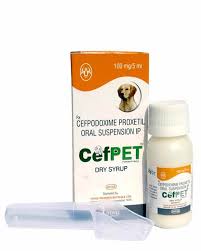 It kills bacteria by preventing them from making their own protective covering. Intas Cefpet Dry Syrup For Dog 100mg 5 Ml