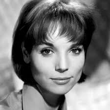 Watch Live TV, Movies, and TV Shows Free Online