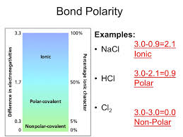 Polar Nonpolar Ionic Chart Www Bedowntowndaytona Com
