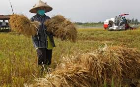 Dpr dpd petani pengamat dan budayawan pun apresiasi dan dukung sektor pertanian jakarta kementerian pertanian mengungkapkan ramadan petani kerja. Pentingnya Inovasi Dan Terobosan Di Sektor Pertanian Indonesia Okezone Economy