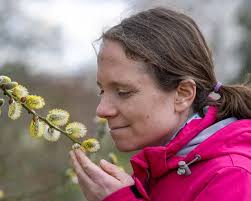 Plymouth Latest News