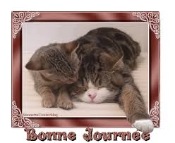 Résultat de recherche d'images pour "images dentelledelune"