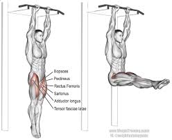 What if you can't do hanging ab raises yet? Unlock Your Hip Flexors Hanging Straight Leg Raise Exercise Guide And Vide Straight Leg Raise Hanging Leg Raises Workout For Flat Stomach