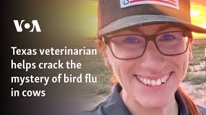 Texas veterinarian helps crack the mystery of bird flu in cows