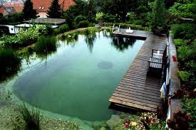 Pin By Khanh Nguyen On Bionova Natural Pools Natural Swimming Pools Natural Swimming Ponds Swimming Pool Pond
