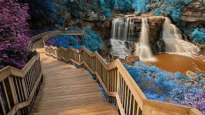 Maybe you would like to learn more about one of these? Water Nature Body Of Water Stairs Waterfall Blackwater Falls State Park Hd Wallpaper Wallpaperbetter