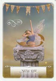 Wisdom Of The Oracle By Colette Baron Reid Angel Tarot Angel Oracle Cards Oracle Cards