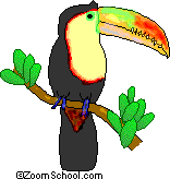 Opossums have tails that can grasp. Animal Information At Enchantedlearning Com