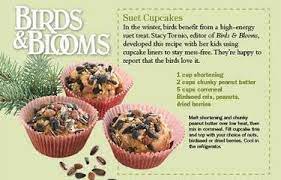 Bird Cupcake Recipe Here Bird Suet Homemade Bird Feeders Bird Cakes