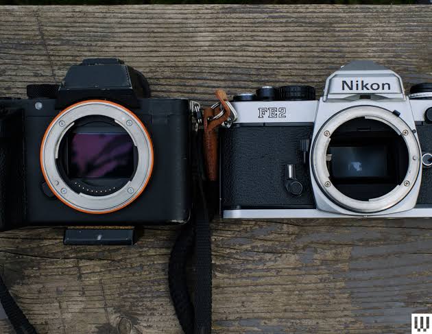 How to Choose a Camera (2026): Sensors, Megapixels, Terms | WIRED