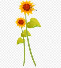 Sun flower summer plant garden flower orange bunga matahari vektor free. Umum Bunga Matahari Bunga Kartun Gambar Png