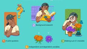 Observation method in data collection can be. Contoh Data Observation Classroom Teacher Observation Checklists Safetyculture Observational Data Is A Valuable Form Of Research That Can Give Researchers Information That Goes Beyond Participant Observation Is When A Researcher