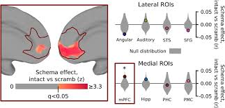 Image result for training effect schema