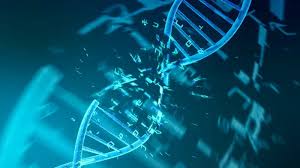 Computational Biology & Machine Learning