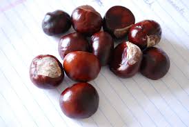 La procedura con un coltellino affilato praticare un taglio sul lato piatto. Castagne Al Latte Pourfemme