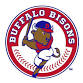 Buffalo Bisons vs. Syracuse