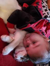 Are there any lost children at the hall?